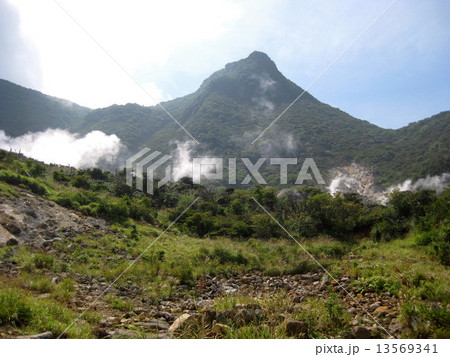 大涌谷（冠ヶ岳） 13569341
