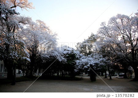 広島城 13570282