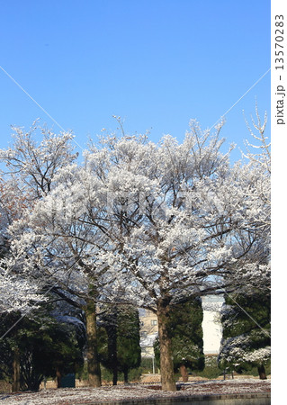 広島城 13570283