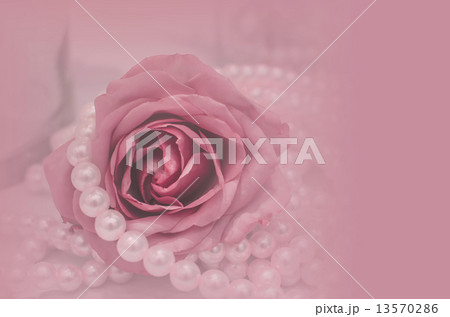 rose flower in pink color for background 13570286