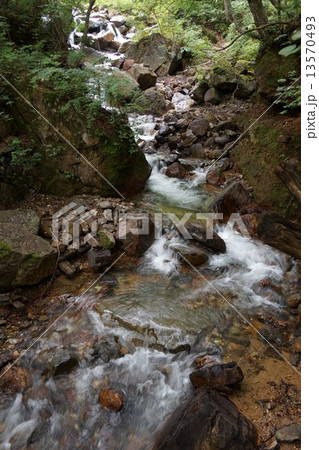 米子大瀑布界隈（権現沢） 13570493
