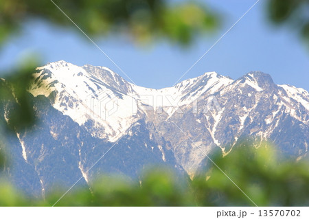 新緑越しの残雪の中央アルプス 新緑越しの残雪の中央アルプス 13570702