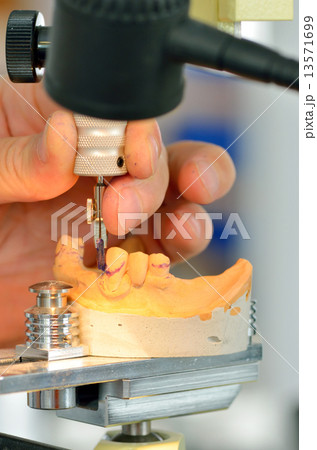 Dental technician measuring dentures 13571699