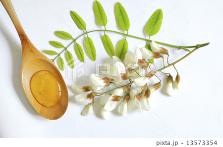 acacia honey 13573354