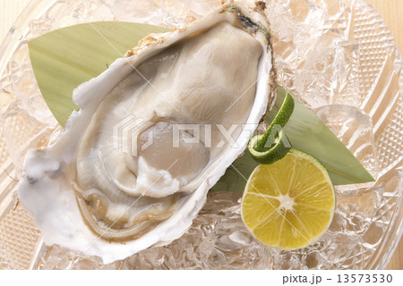 牡蠣 牡蠣 13573530