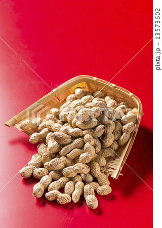 落花生 落花生 13573602