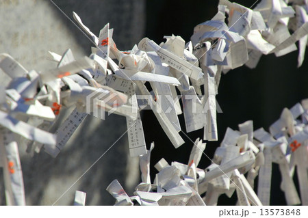 おみくじ 13573848