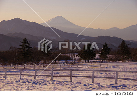 冬の牧場 13575132