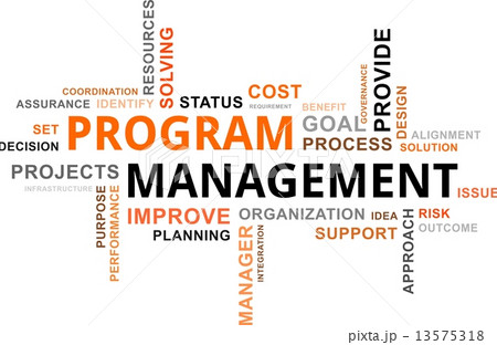 word cloud - program management word cloud - program management 13575318