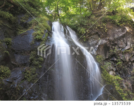 裏見の滝 13575539