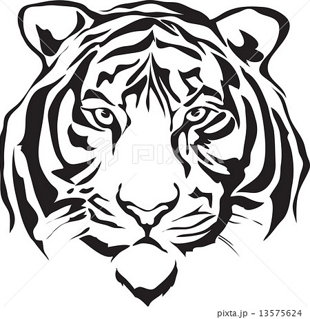 Tiger Head Silhouette のイラスト素材 13575624 Pixta