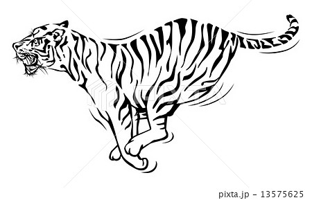 Tiger Running のイラスト素材