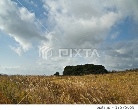 秋吉台 長者ヶ森 秋吉台 長者ヶ森 13575659