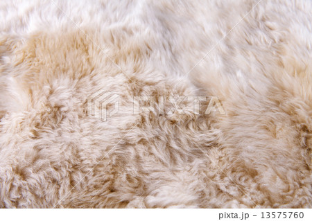 close up texture of fur carpet  13575760