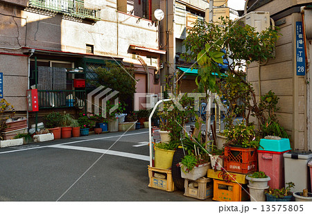 浅草散歩・下町風情 13575805