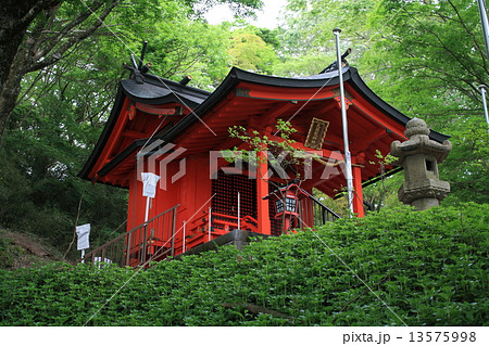 箱根神社(九頭龍神社・本社) 箱根神社(九頭龍神社・本社) 13575998