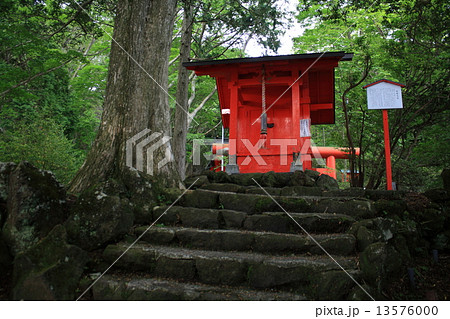 箱根神社(九頭龍神社・本社) 箱根神社(九頭龍神社・本社) 13576000