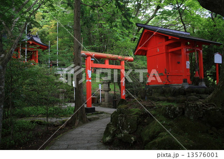 箱根神社(九頭龍神社・本社) 箱根神社(九頭龍神社・本社) 13576001