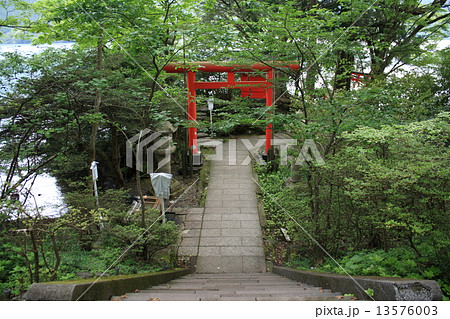 箱根神社(九頭龍神社・本社) 箱根神社(九頭龍神社・本社) 13576003