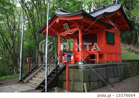 箱根神社（九頭龍神社・本社） 13576004
