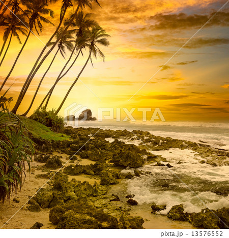 Fantastic sunset on the ocean Fantastic sunset on the ocean 13576552