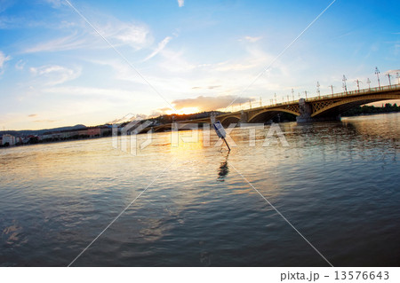 Flooded terrain in Europe 13576643