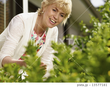 Woman and plants Woman and plants 13577181