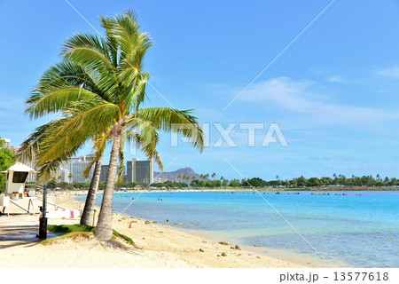 ハワイの休日 13577618