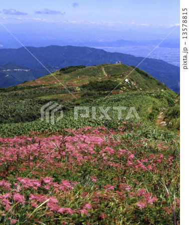夏の伊吹山山上 13578815