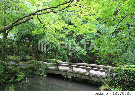 法然院 法然院 13579530