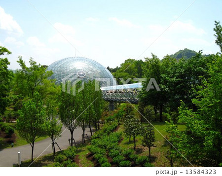 とっとり花回廊 13584323