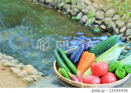 涼しげな夏野菜盛り合わせ 13584456