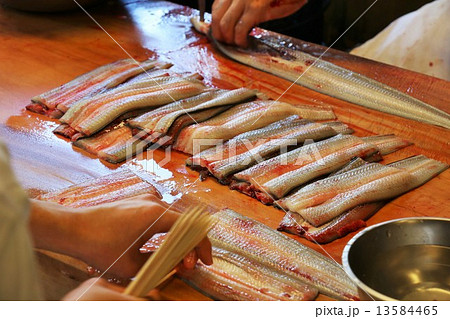 鰻の下準備 13584465