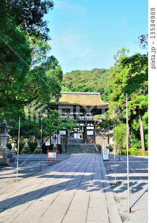 松尾大社　楼門 13584989