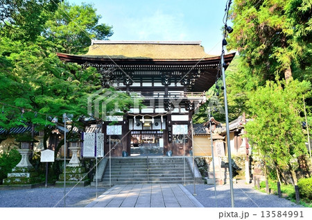 松尾大社　楼門　 13584991