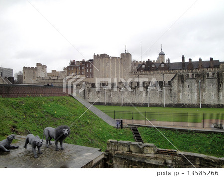 ロンドン塔 ロンドン塔 13585266