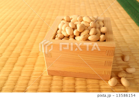 大豆 大豆 13586154