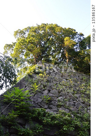 福岡城の石垣(水の手御門付近/福岡県福岡市中央区) 福岡城の石垣(水の手御門付近/福岡県福岡市中央区) 13586167