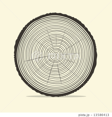 Tree Rings Vector Illustration 13586413