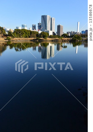 浜離宮恩賜庭園 13586678