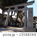 東京新宿、鎧神社 13588268