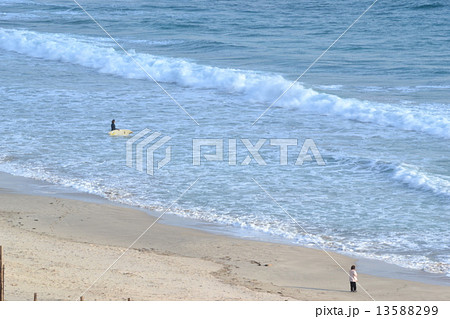 浜辺のサーファー 浜辺のサーファー 13588299
