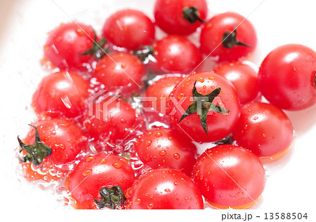 新鮮なミニトマトたち 13588504
