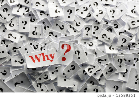 question why 13589351