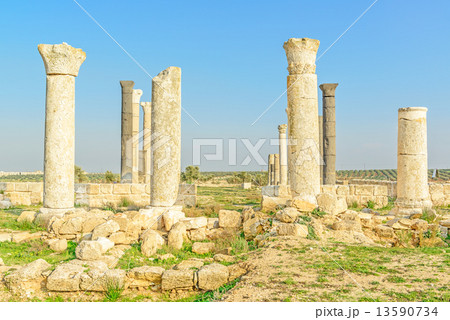 グウエイルベ(ヨルダン、イルビド北) 13590734