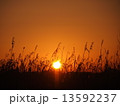 冬の日の出 13592237