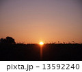 夜明けの原っぱ 13592240