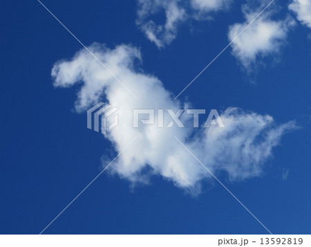 雲(犬の様な雲) 雲(犬の様な雲) 13592819