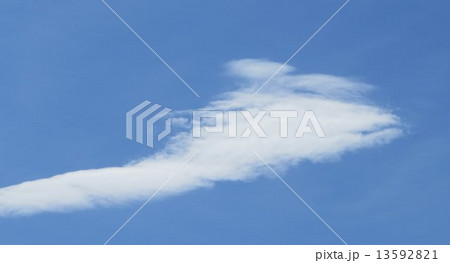 雲(蛇の様な雲) 雲(蛇の様な雲) 13592821