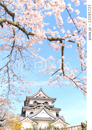 4月滋賀 彦根城・天守閣と桜 13595725